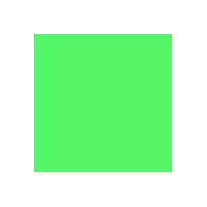  Rosco E Colour 5455 Tarragon Green Lighting Gel Filter 