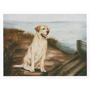  Yellow Lab By Lakeshore Boxed Notecards