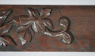   FRENCH CARVED OAK ARCHITECTURAL CARVING OF FOX HEAD & FOLIAGE  
