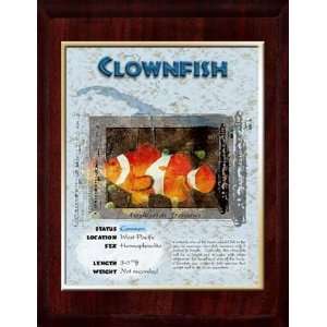  Marine (Clown Fish) Animal Planet Products 10 x 13 