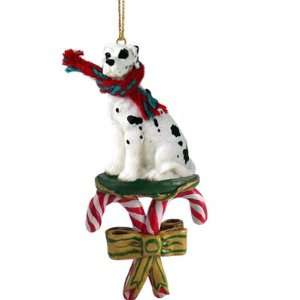  GREAT DANE Dog Harlequin UNCROPPED CANDY CANE Christmas 