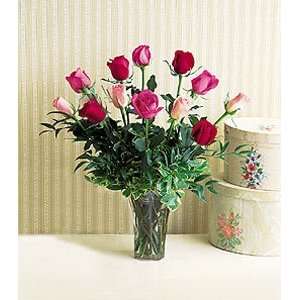  Dozen Multi Colored Roses   Same Day Delivery Available 