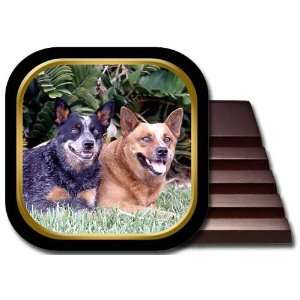  Australian Cattle Dog Coaster Set