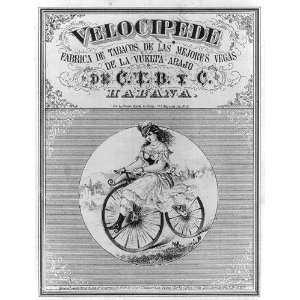   Velocipede Beautiful young lady in frilly summer dress