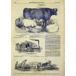    Smithfield Cattle Market Ransom May Locomotive 1849