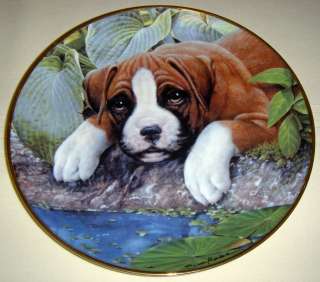 SIMON MENDEZ Boxer Puppies WATERS EDGE Pup Plate Cute  