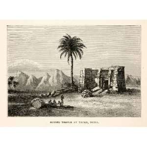   Egypt Egyptian Archaeology Palm   Original In Text Wood Engraving