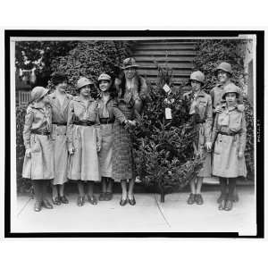  Girl Scouts,present tree,Eleanor Roosevelt,NH,1933