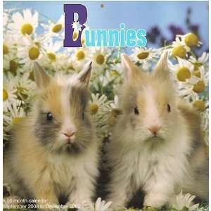  Bunnies a 16 Month 2009 Calendar