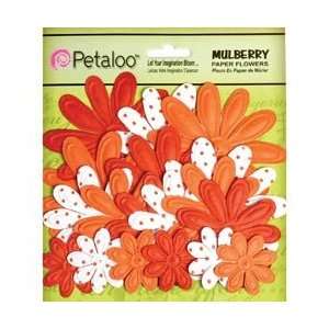 Petaloo Flowers Mulberry Street Embossed Tye Dye Daisies Mixed Sizes 