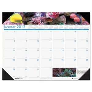  Sea Life Photographic Monthly Desk Pad Calendar, 18 1/2 x 