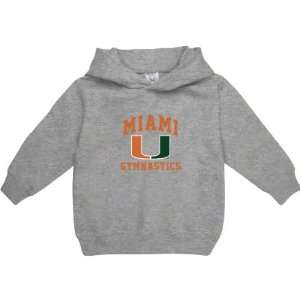   Hurricanes Sport Grey Toddler/Kids Gymnastics Arch Hooded Sweatshirt