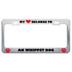 My Heart Belongs To An Whippet Dog Animals Pets Metal License Plate 