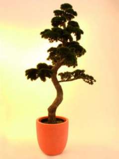 Bonsai Pinie Kunstpflanze Dekobaum Pinienpflanze 180cm  