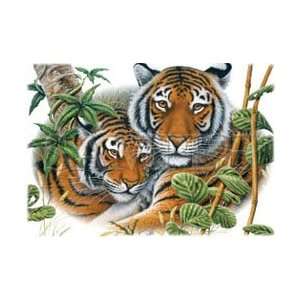  T shirts Animals Wildlife Tow Tigers M 