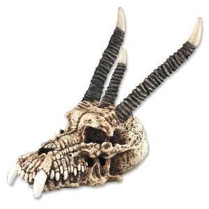  Dragon Skull with Horns and Fangs Collectable Figurine 