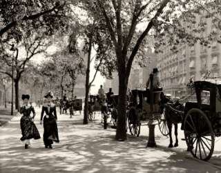   MANHATTAN NEW YORK CITY CENTRAL PARK HORSE CARRIAGES NOSTALGIC LOOKING