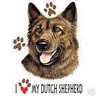 dutch shepherd  