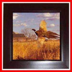 Pheasant Bird Flyin Barn Wall Decor Framed Tile, Art  