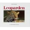 Afrikas grosse Katzen Gepard, Löwe, Leopard  Fritz 