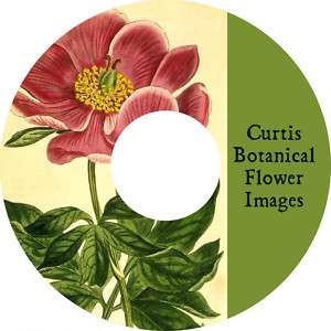 1000 Vintage Curtis Botanical Flower Floral Images CD  