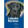 Metall   Warnschild Labrador Retriever braun  Küche 