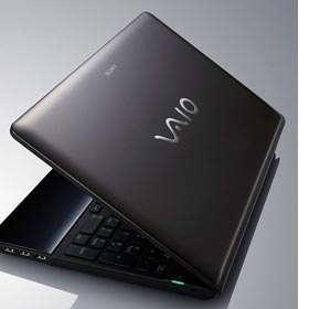 Sony Vaio EB4L1E/BQ 39,3 cm Notebook  Computer & Zubehör