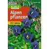 Blumen der Alpen  Dietmar Aichele, Renate Aichele, Heinz 