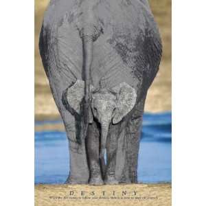 Motivational   Elefantenmutter und Baby   Tier Poster Foto Elefanten 