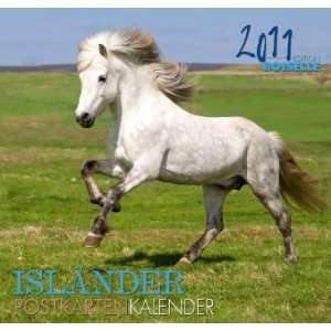 Isländer 2011 Postkartenkalender Mit Aufsteller und Weihnachtskarte 