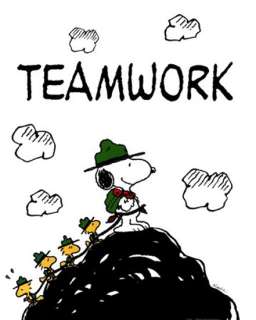 Teamwork Peanuts Woodstock Snoopy Framed Picture Print  