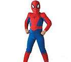 spiderman costume  
