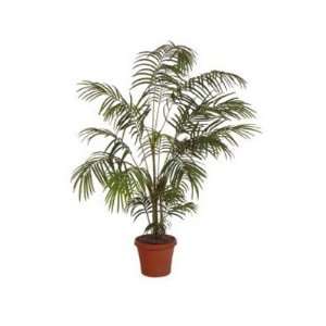  Areca Artificial Silk Palm Tree Plant 6