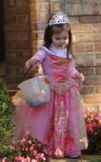 Storybook Sleeping Beauty Aurora Prestige Child / Toddler Costume 