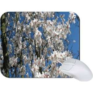 Rikki Knight Cherry Blossom Tree Branches Mouse Pad Mousepad   Ideal 