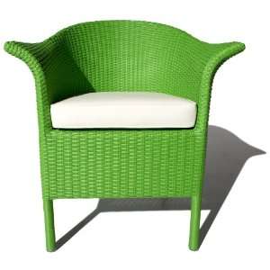   Strathwood All Weather Wicker Side Chair, Green Patio, Lawn & Garden