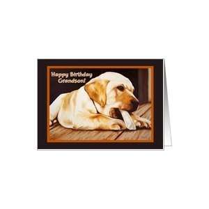    Birthday Grandson   Labrador Retriever Puppy Card Toys & Games