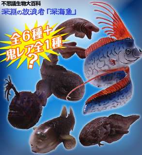 Mystery Deep sea Creatures Fish Atlantic footballfish  