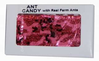 ANT CANDY   EDIBLE FARM ANTS   FEAR FACTOR CHERRY CANDY  