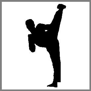 Karate Martial Arts Sports Figure #05 Auto Car Truck Window Sticker 