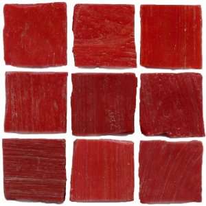 Ashland e Tricycle Red Blend 12 x 12 Inch Eco Friendly Recycled Red 