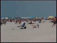  beach is port charlotte beach located 10 minutes from property beach 