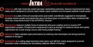 How IntraVol builds Muscle Chart