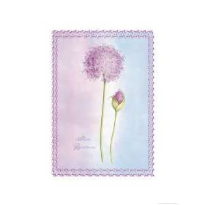  Allium Giganteum Botanical Giclee Poster Print by Nicola 