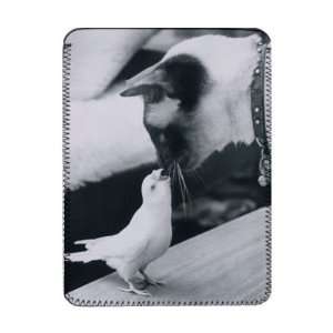  Snowy the budgie makes friends with Cindy   iPad Cover 