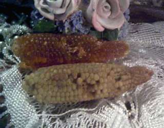 Silicone Primitive Corn On The Cob Soap Candle Mold  