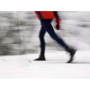 Cross Country Skiing on Spray River Trail, Banff, Alberta Photographic 