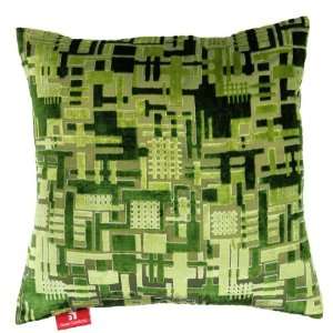   Decorative Throw Pillow   18 x 18 x 6, Velvet   Green