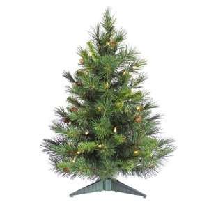  2 Pre Lit Cheyenne Pine Artificial Christmas Tree   Clear 