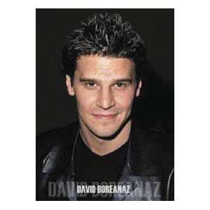  Movies Posters David Boreanaz   Portrait Poster   33.5x23 